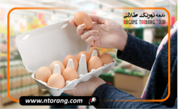 نشانه های فاسد شدن تخم مرغ